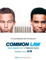 Common Law (season 1) tv show poster