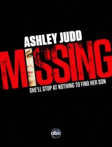 Missing (season 1) tv show poster