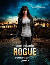 Rogue (season 1) tv show poster