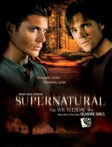Supernatural (season 5) tv show poster