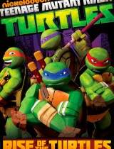 Teenage Mutant Ninja Turtles (season 2) tv show poster