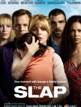 The Slap (season 1) tv show poster