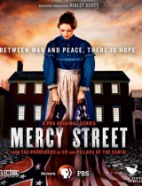 Mercy Street (season 1) tv show poster