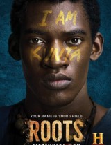 Roots (season 1) tv show poster