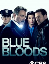 Blue Bloods (season 7) tv show poster