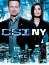 CSI: NY (season 1-8) tv show poster