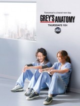 Grey's Anatomy (season 8) tv show poster