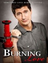 burning love 2012 poster
