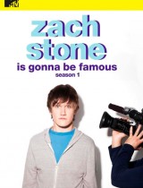 Zach Stone Is Gonna Be Famous (season 1) tv show poster