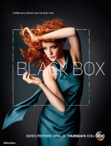 Black Box ABC season 1 2014 poster