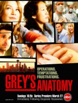 Grey's Anatomy (season  1) tv show poster