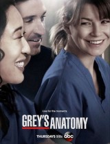 Greys Anatomy season 10 ABC poster 2013