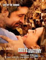 Greys Anatomy season 5 ABC poster 2008