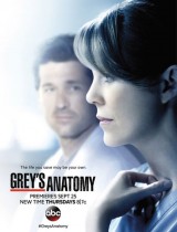 Grey's Anatomy (season 11) tv show poster