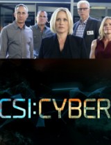 CSI: Cyber (season 1) tv show poster