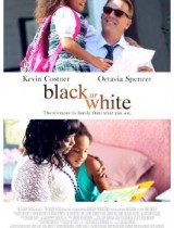 Black or White (2015) movie poster