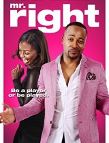 Mr Right (2015) movie poster
