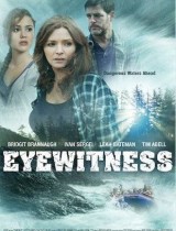 Eyewitness (season 1) tv show poster